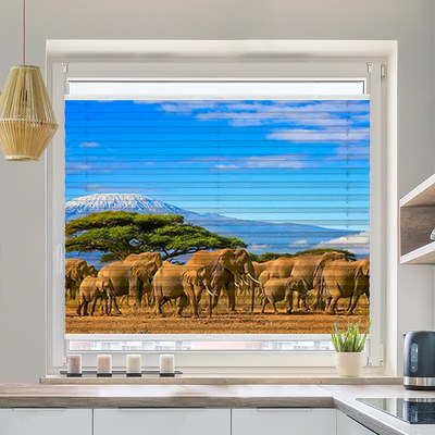 Wabenplissee Motiv Elefanten am Kilimandscharo