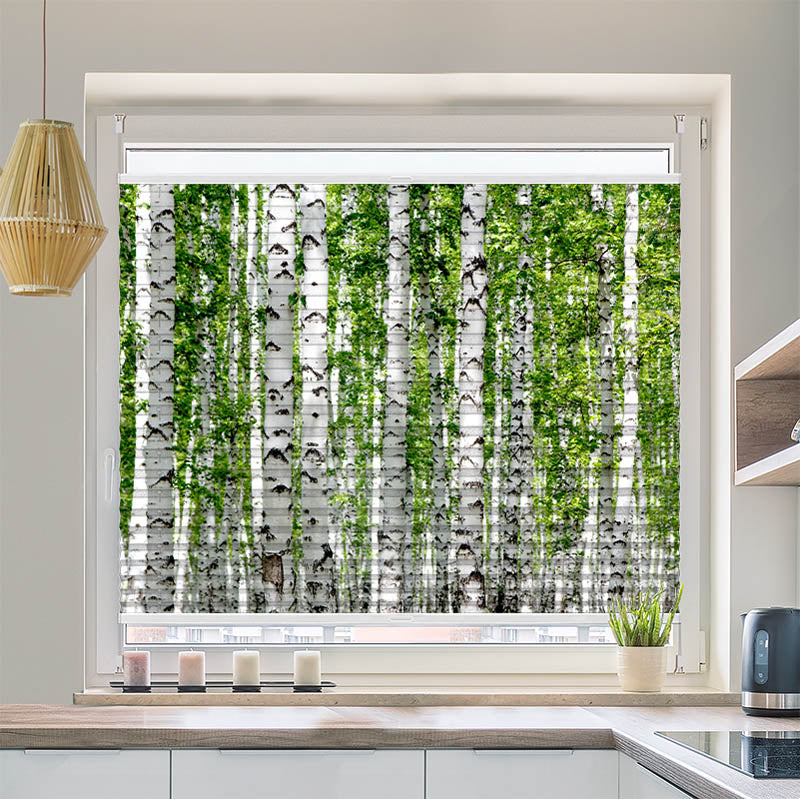 Wabenplissee Motiv Birkenwald