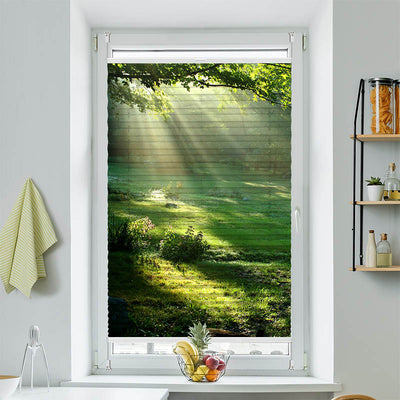 Wabenplissee Motiv Lichtung im Wald