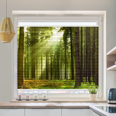 Wabenplissee Motiv Sonnenstrahlen im Wald Panorama