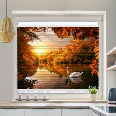 Wabenplissee Motiv Schwan auf Herbstteich