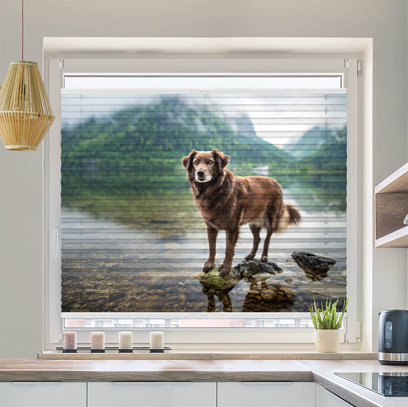 Wabenplissee Motiv Hund am Bergsee