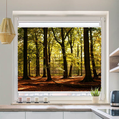 Wabenplissee Motiv Wald Sonnenstrahlen