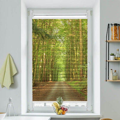 Wabenplissee Motiv Bambuswald Weg