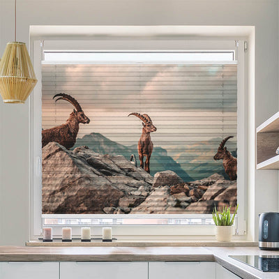 Wabenplissee Motiv Steinboecke in den Schweizer Alpen