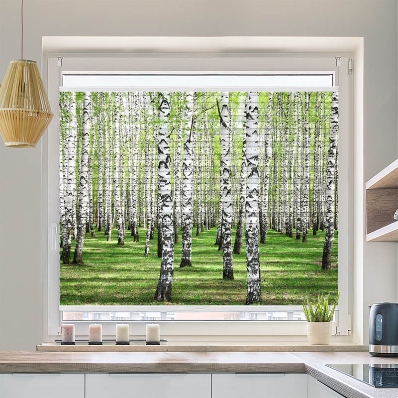 Wabenplissee Motiv Birkenwald