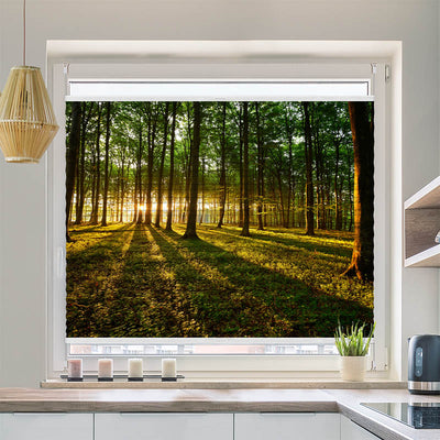 Wabenplissee Motiv Sonnenstrahlen im Wald