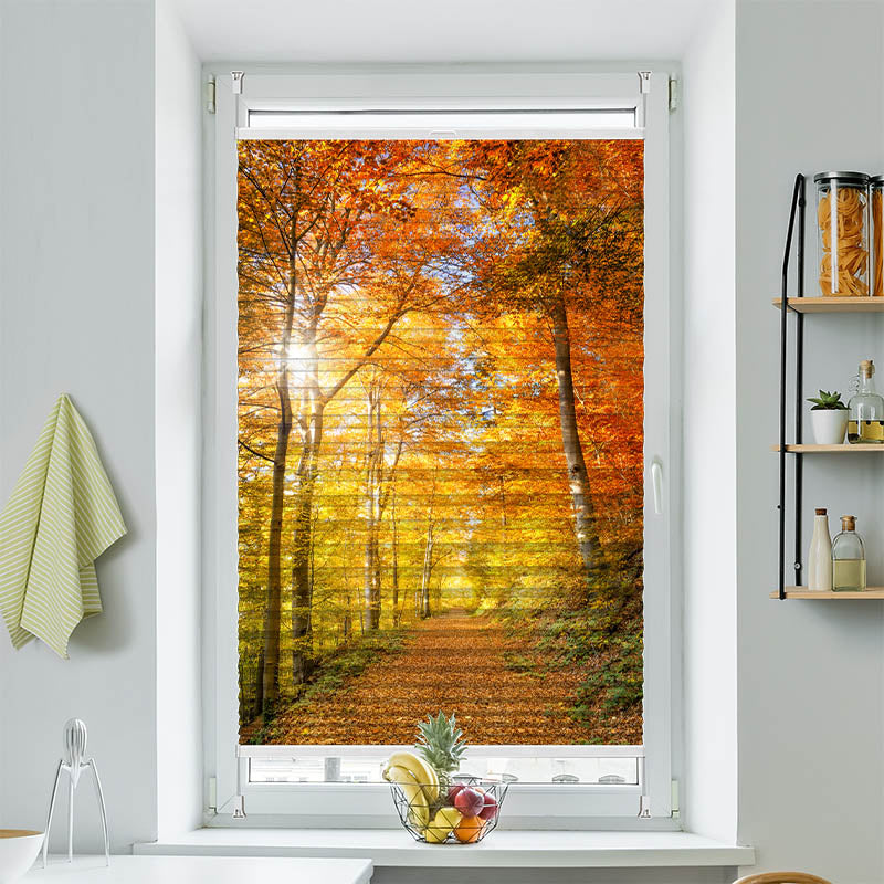 Wabenplissee Motiv Waldweg Herbst