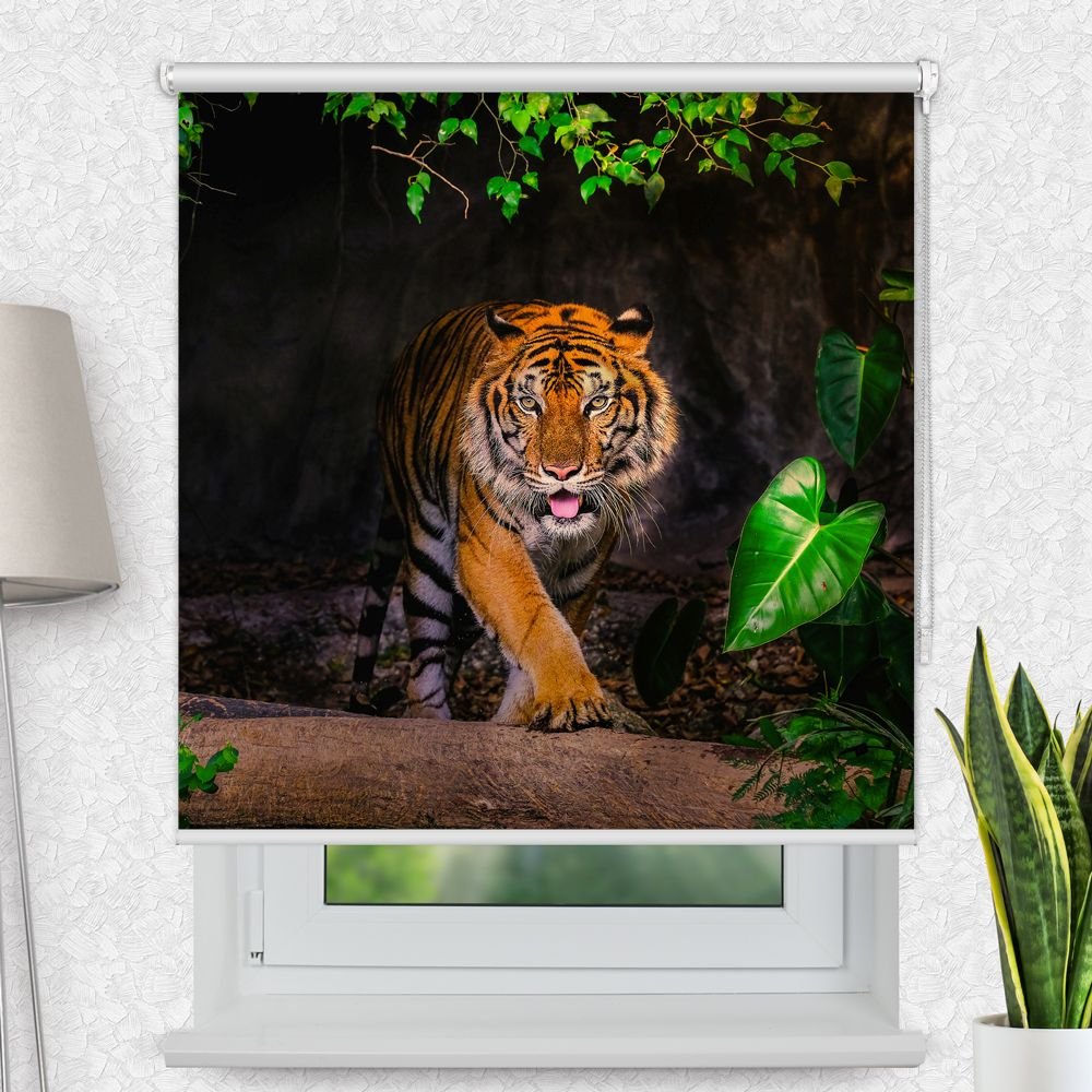 Fotorollo 'Tiger Indien' - La-Melle