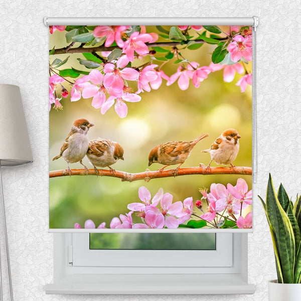 Motivrollo 'Spatzen Auf Zweig Mit Blueten' | Bis B 430 x H 440 cm