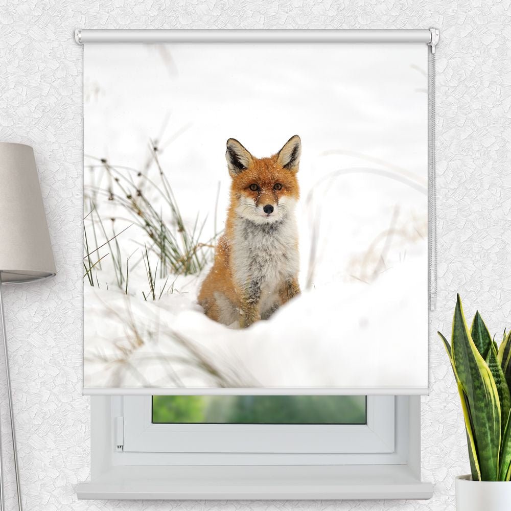 Fotorollo 'Fuchs Im Schnee' - La-Melle