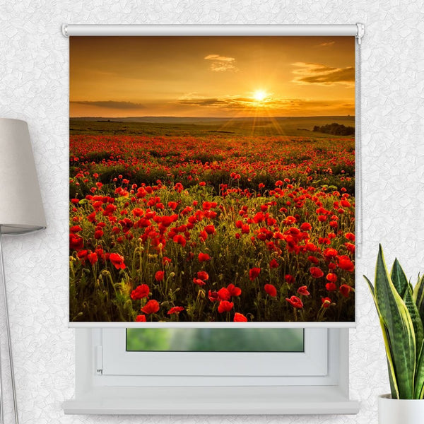 Motivrollo 'Mohnblumen Feld' | Bis B 430 x H 440 cm