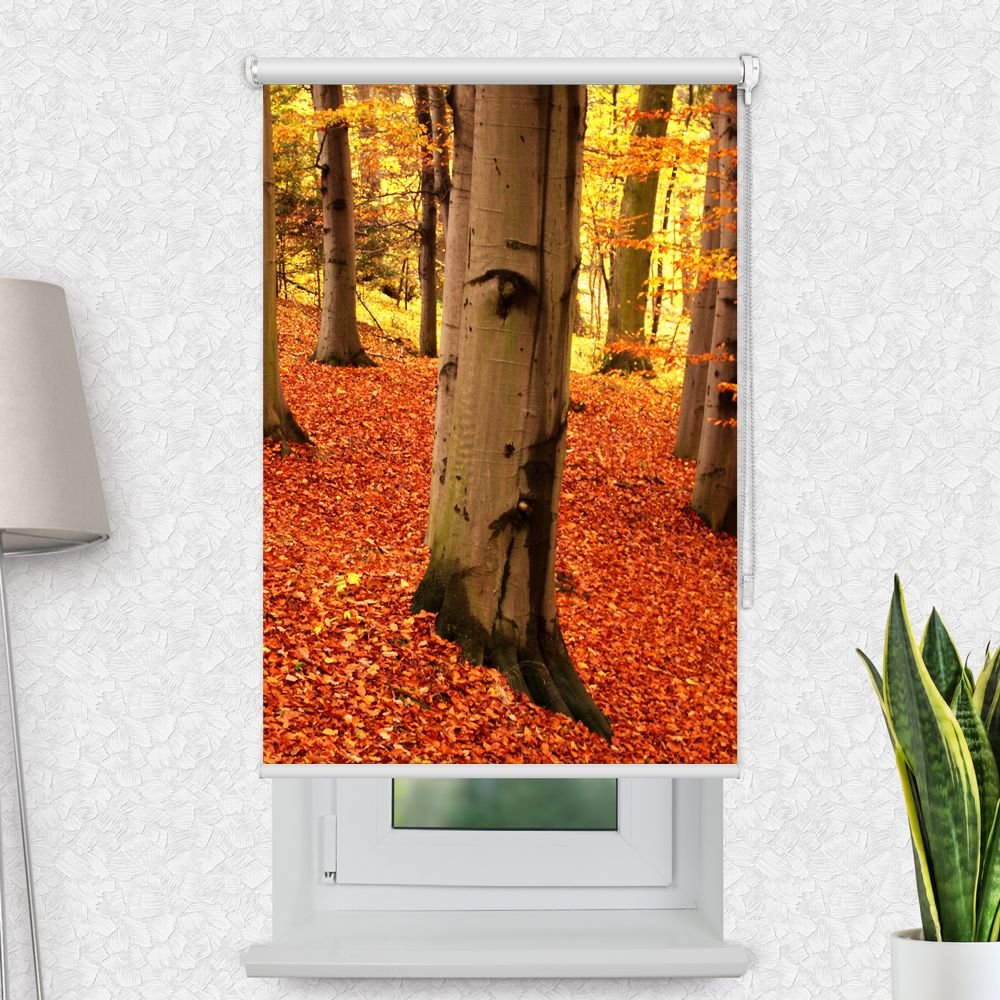Fotorollo 'Baum im Herbst mit Gesicht' - La-Melle