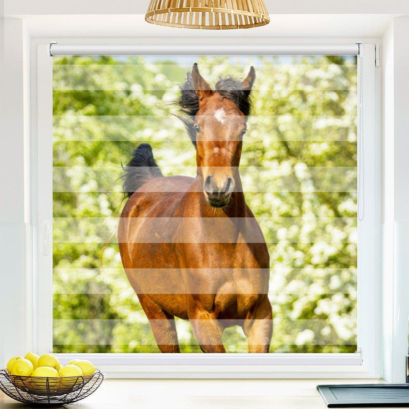 Klemm Doppelrollo "Araber Fohlen" - ohne Bohren - Klemmfix - bis 150 cm Breite - Duo Rollo Fotodruck - La-Melle