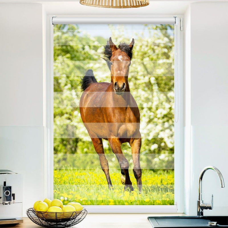 Klemm Doppelrollo "Araber Fohlen" - ohne Bohren - Klemmfix - bis 150 cm Breite - Duo Rollo Fotodruck - La-Melle