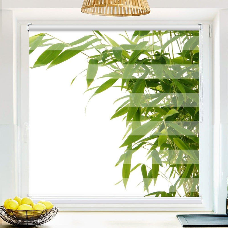 Klemm Doppelrollo "Bambusstrauch" - ohne Bohren - Klemmfix - bis 150 cm Breite - Duo Rollo Fotodruck - La-Melle