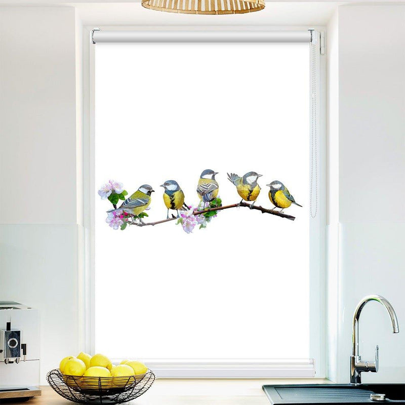 Klemm Doppelrollo "Blaumeisen" - ohne Bohren - Klemmfix - bis 150 cm Breite - Duo Rollo Fotodruck - La-Melle