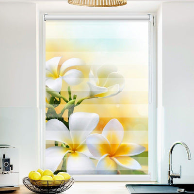 Klemm Doppelrollo Frangipani - ohne Bohren - Klemmfix - bis 150 cm Breite - Duo Rollo Fotodruck - La-Melle