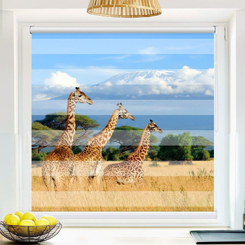Klemm Doppelrollo "Giraffen Afrika" - ohne Bohren - Klemmfix - bis 150 cm Breite - Duo Rollo Fotodruck - La-Melle
