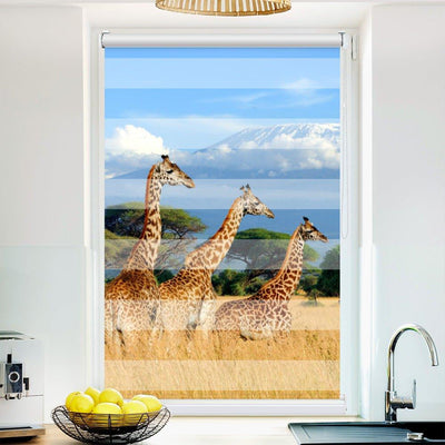 Klemm Doppelrollo Giraffen Afrika - ohne Bohren - Klemmfix - bis 150 cm Breite - Duo Rollo Fotodruck - La-Melle