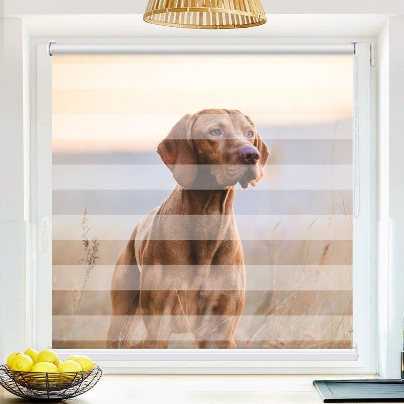 Klemm Doppelrollo "Jagdhund" - ohne Bohren - Klemmfix - bis 150 cm Breite - Duo Rollo Fotodruck - La-Melle