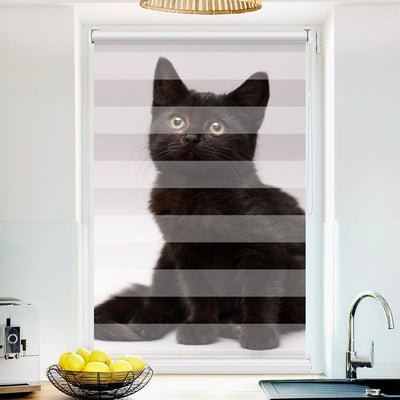 Klemm Doppelrollo Scharze Katze Kitten - ohne Bohren - Klemmfix - bis 150 cm Breite - Duo Rollo Fotodruck - La-Melle