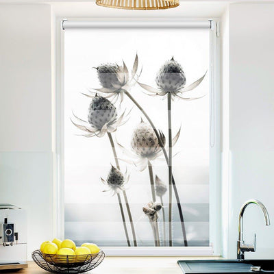 Klemmfix-Doppelrollo Motiv Trockenblume