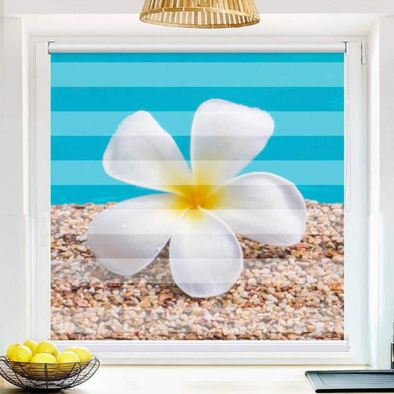 Klemm Doppelrollo "Frangipani Wasser" - ohne Bohren - Klemmfix - bis 150 cm Breite - Duo Rollo Fotodruck - La-Melle