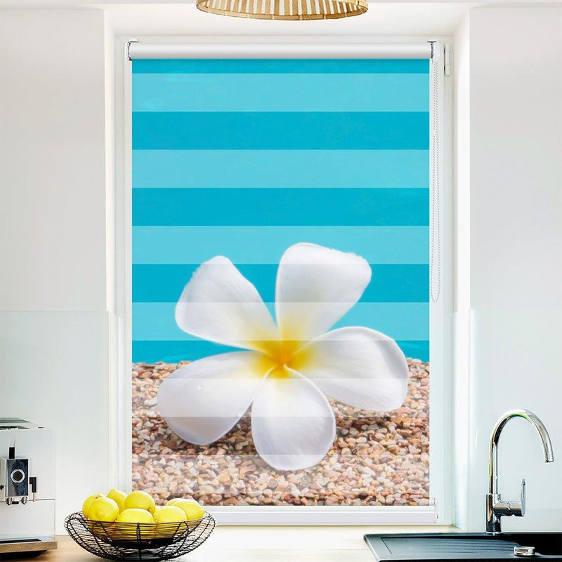 Klemm Doppelrollo "Frangipani Wasser" - ohne Bohren - Klemmfix - bis 150 cm Breite - Duo Rollo Fotodruck - La-Melle