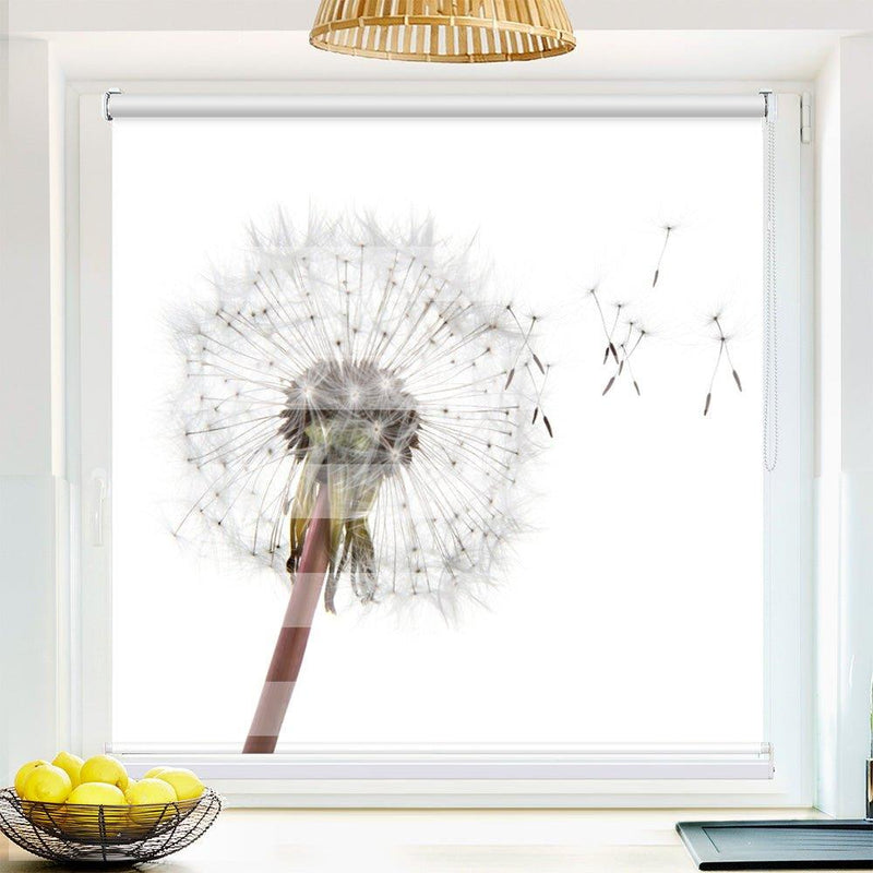 Klemm Doppelrollo "Pusteblume Samen" - ohne Bohren - Klemmfix - bis 150 cm Breite - Duo Rollo Fotodruck - La-Melle