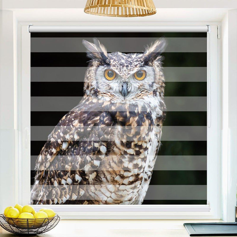 Klemmfix Doppelrollo Motiv "Wald Eule"