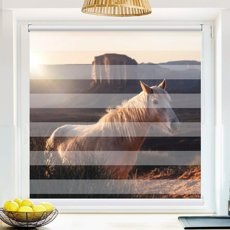 Klemmfix Doppelrollo Motiv "Wildpferd Arizona"