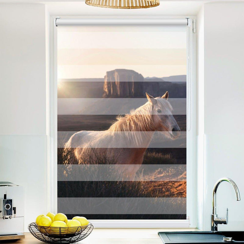 Klemmfix Doppelrollo Motiv "Wildpferd Arizona"