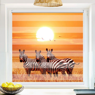 Klemmfix Doppelrollo Motiv Zebra Afrika Savanne