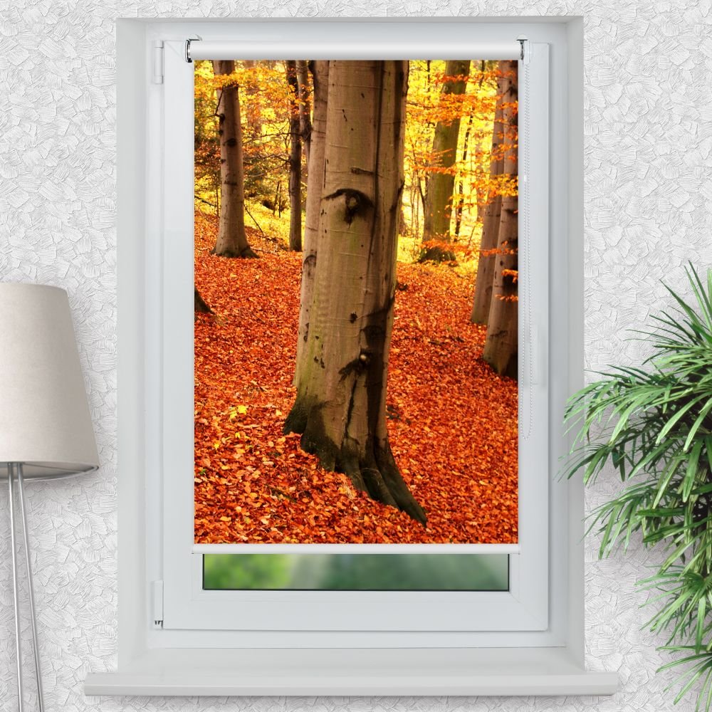 Rollo Motiv 'Baum Im Herbst Mit Gesicht' - ohne bohren - Klemmrollo bis 150 cm Breite - Klemmfix mit Fotodruck - blickdicht - La-Melle