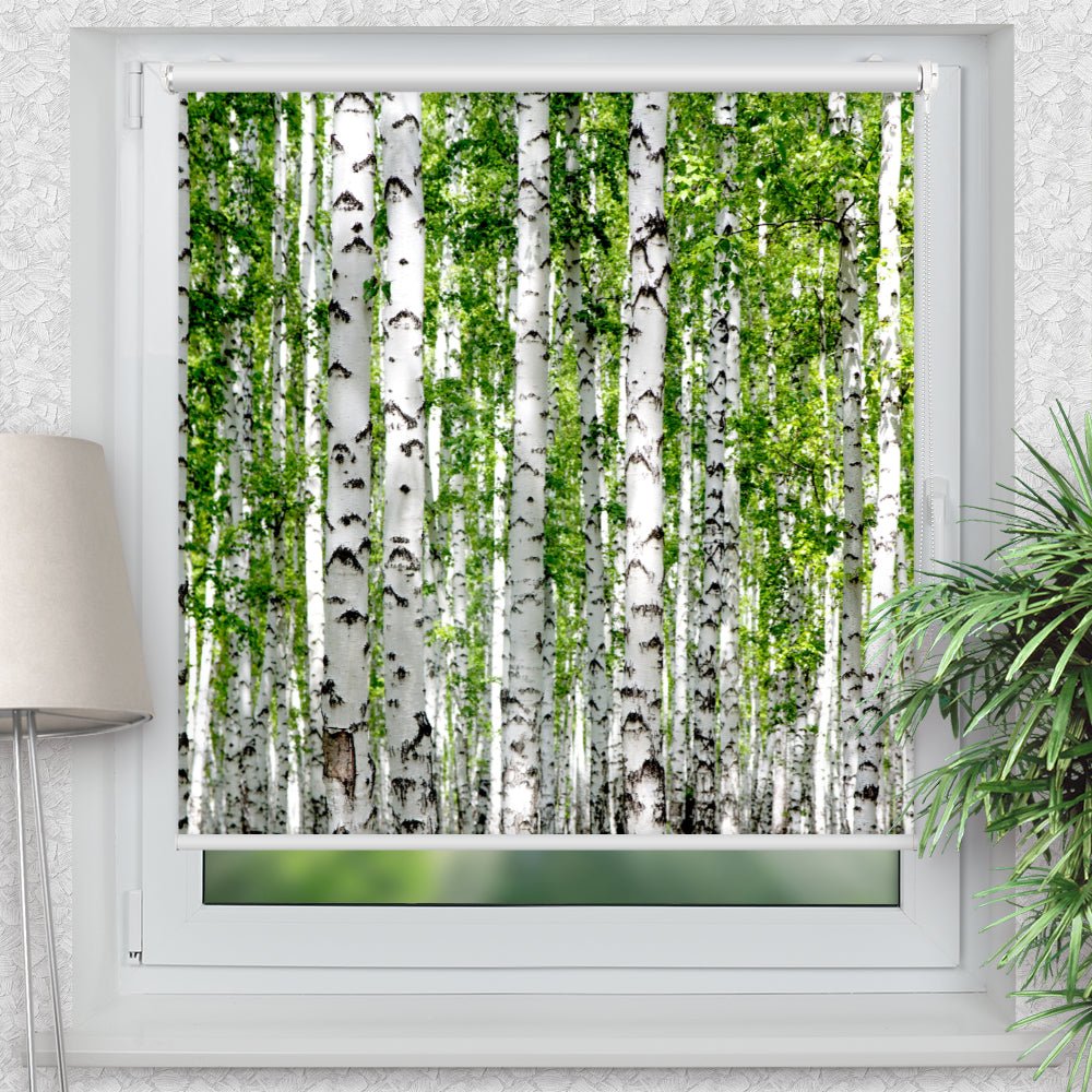 Rollo Motiv "Birken Wald Baeume" - ohne bohren - Klemmrollo bis 150 cm Breite - Klemmfix mit Fotodruck - blickdicht - La-Melle