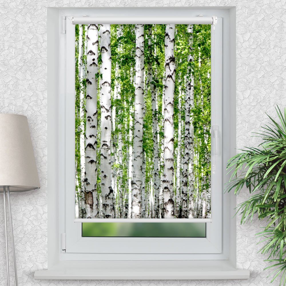 Rollo Motiv "Birken Wald Baeume" - ohne bohren - Klemmrollo bis 150 cm Breite - Klemmfix mit Fotodruck - blickdicht - La-Melle