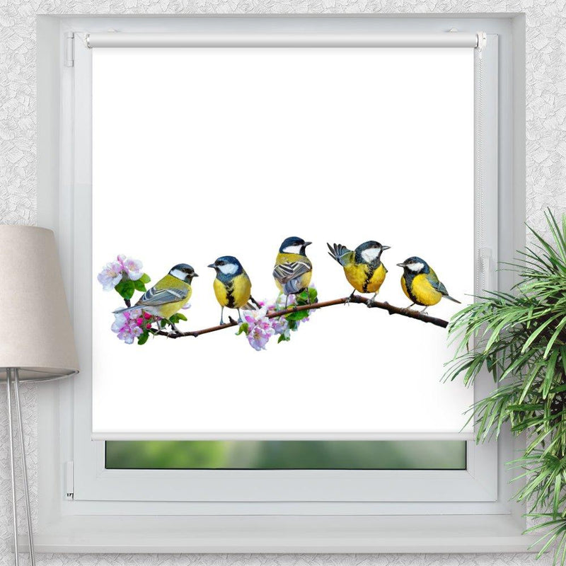 Rollo Motiv "Blaumeisen" - ohne bohren - Klemmrollo bis 150 cm Breite - Klemmfix mit Fotodruck - blickdicht - La-Melle