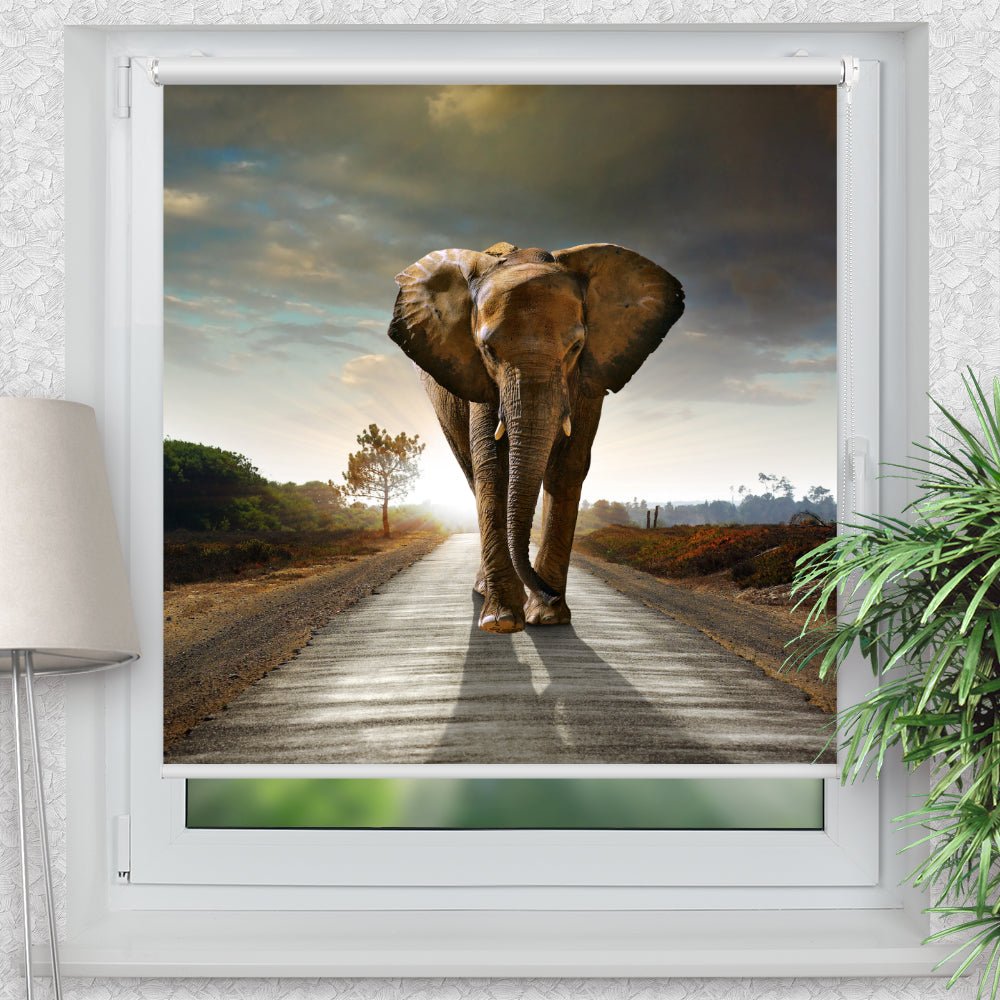 Rollo Motiv "Elefant Afrika Weg" - ohne bohren - Klemmrollo bis 150 cm Breite - Klemmfix mit Fotodruck - blickdicht - La-Melle