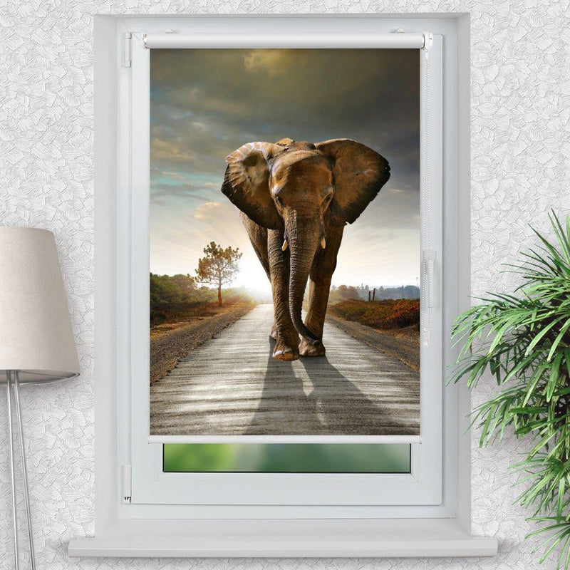 Rollo Motiv "Elefant Afrika Weg" - ohne bohren - Klemmrollo bis 150 cm Breite - Klemmfix mit Fotodruck - blickdicht - La-Melle