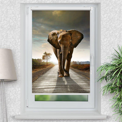 Rollo Motiv Elefant Afrika Weg - ohne bohren - Klemmrollo bis 150 cm Breite - Klemmfix mit Fotodruck - blickdicht - La-Melle