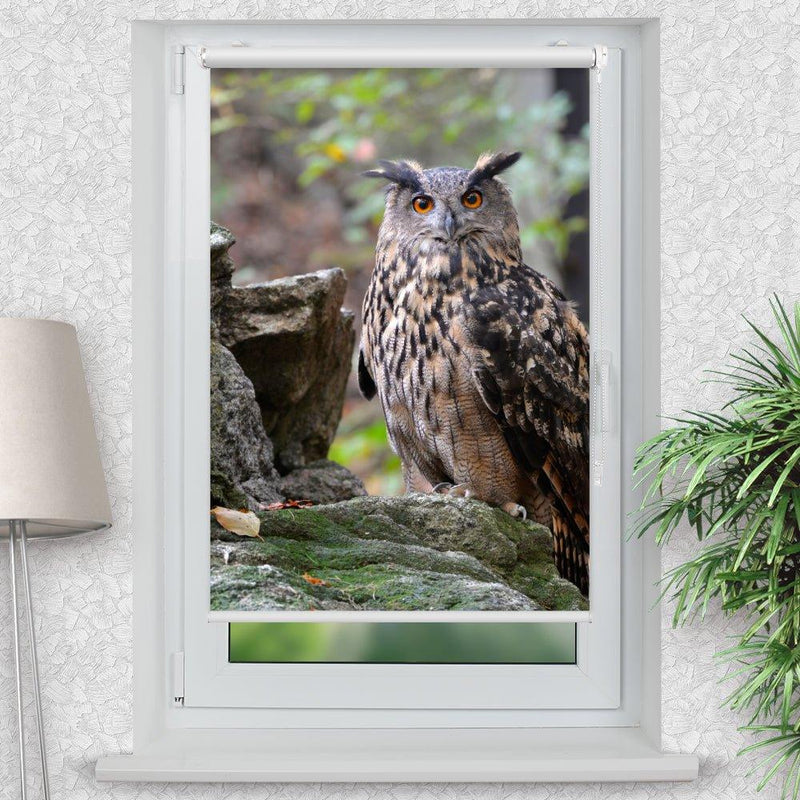 Rollo Motiv "Eule Wald Felsen" - ohne bohren - Klemmrollo bis 150 cm Breite - Klemmfix mit Fotodruck - blickdicht - La-Melle