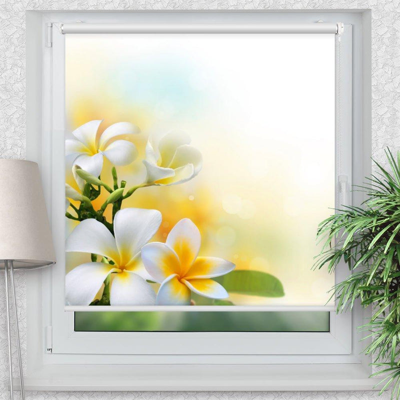 Rollo Motiv "Frangipani" - ohne bohren - Klemmrollo bis 150 cm Breite - Klemmfix mit Fotodruck - blickdicht - La-Melle