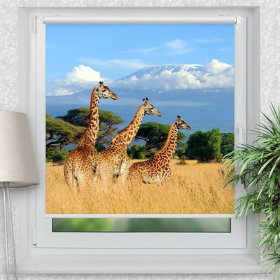 Rollo Motiv Giraffen Afrika - ohne bohren - Klemmrollo bis 150 cm Breite - Klemmfix mit Fotodruck - blickdicht - La-Melle