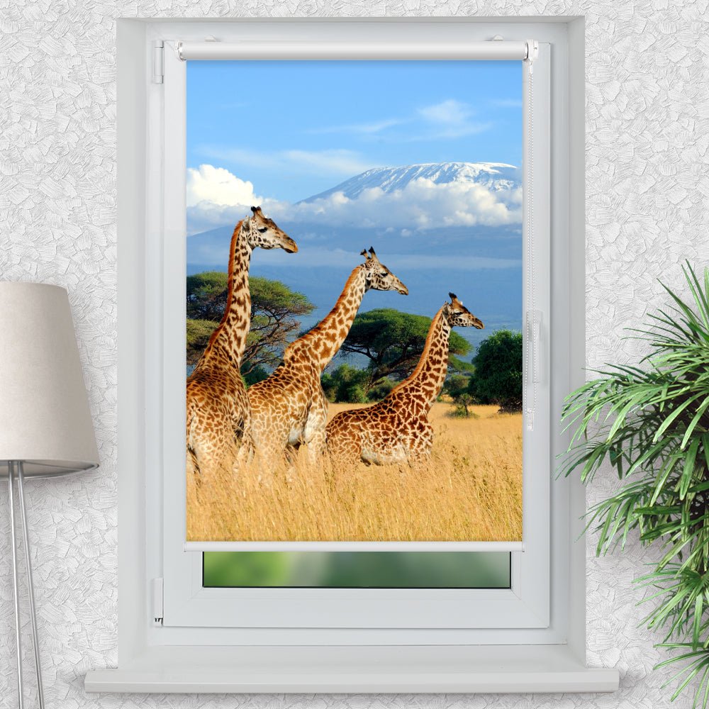 Rollo Motiv "Giraffen Afrika" - ohne bohren - Klemmrollo bis 150 cm Breite - Klemmfix mit Fotodruck - blickdicht - La-Melle