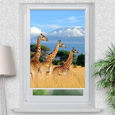 Rollo Motiv Giraffen Afrika - ohne bohren - Klemmrollo bis 150 cm Breite - Klemmfix mit Fotodruck - blickdicht - La-Melle