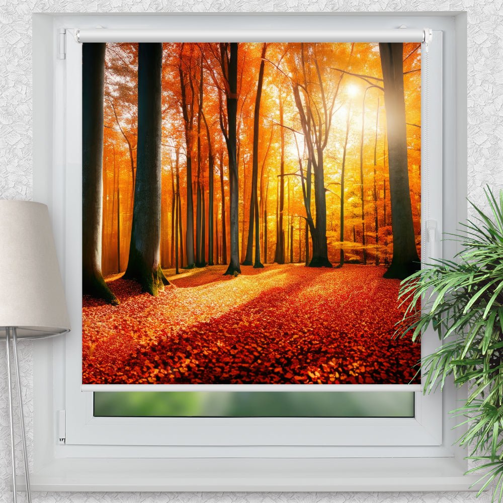 Rollo Motiv "Herbst Wald Sonne" - ohne bohren - Klemmrollo bis 150 cm Breite - Klemmfix mit Fotodruck - blickdicht - La-Melle