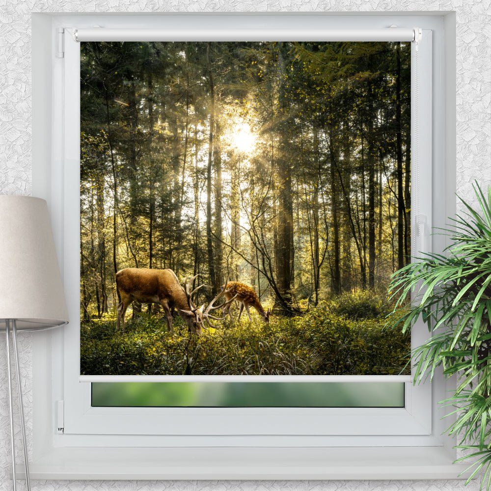 Rollo Motiv "Hirsch Reh Wald Sonnehirsch Sonne" - ohne bohren - Klemmrollo bis 150 cm Breite - Klemmfix mit Fotodruck - blickdicht - La-Melle