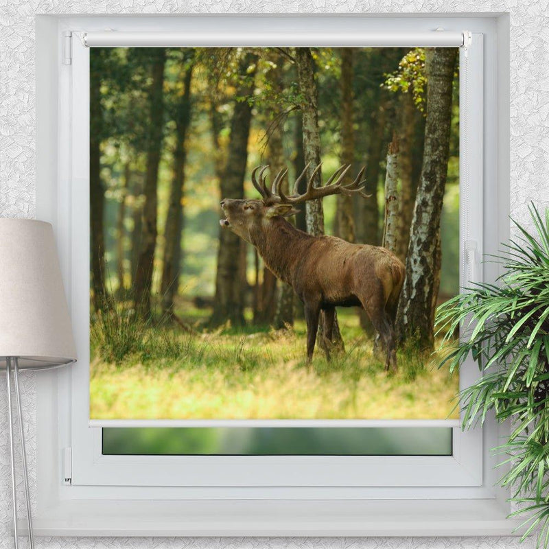 Rollo Motiv "Hirsch Wald" - ohne bohren - Klemmrollo bis 150 cm Breite - Klemmfix mit Fotodruck - blickdicht - La-Melle
