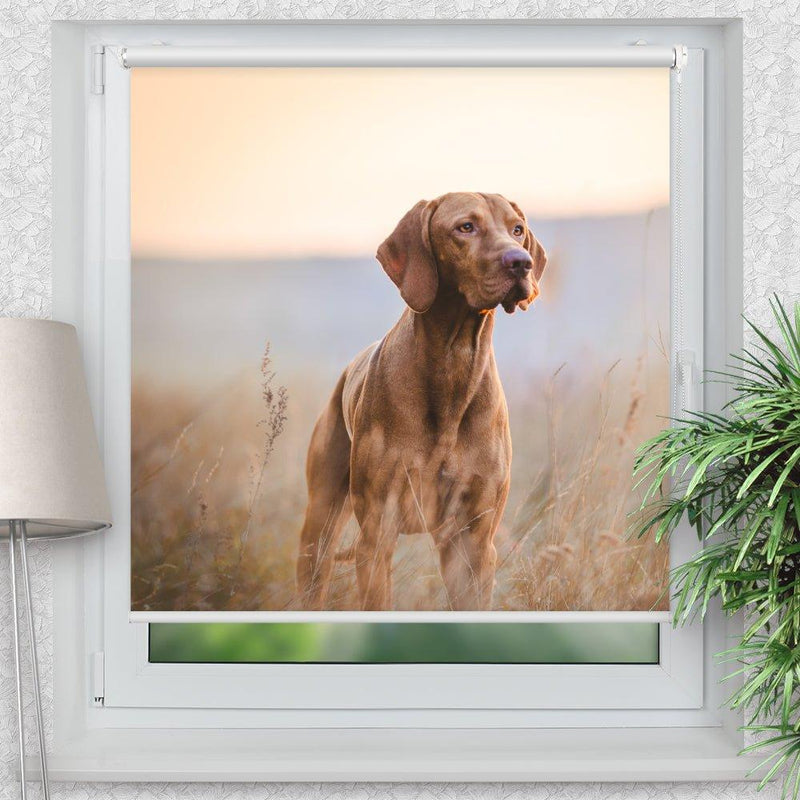 Rollo Motiv "Jagdhund" - ohne bohren - Klemmrollo bis 150 cm Breite - Klemmfix mit Fotodruck - blickdicht - La-Melle